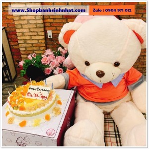 Gấu Bông Teddy Hàn Quốc - GAU33